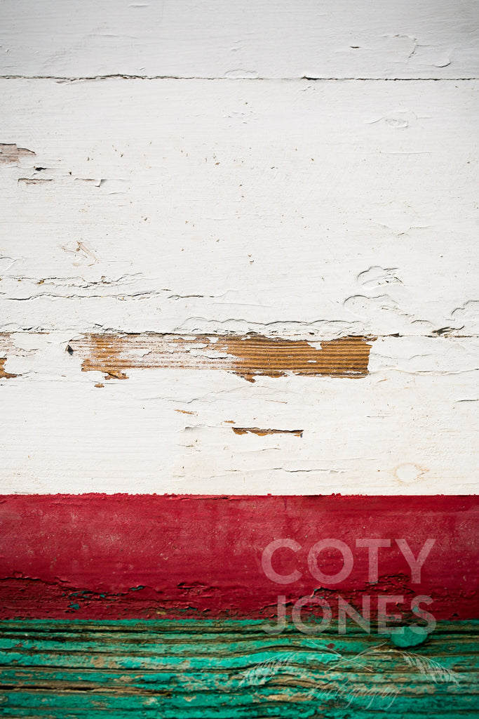 "Shawnie, 2014" - Waterline Study